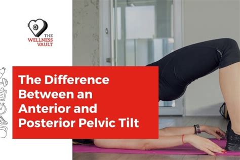 The Difference Between An Anterior And Posterior Pelvic Tilt