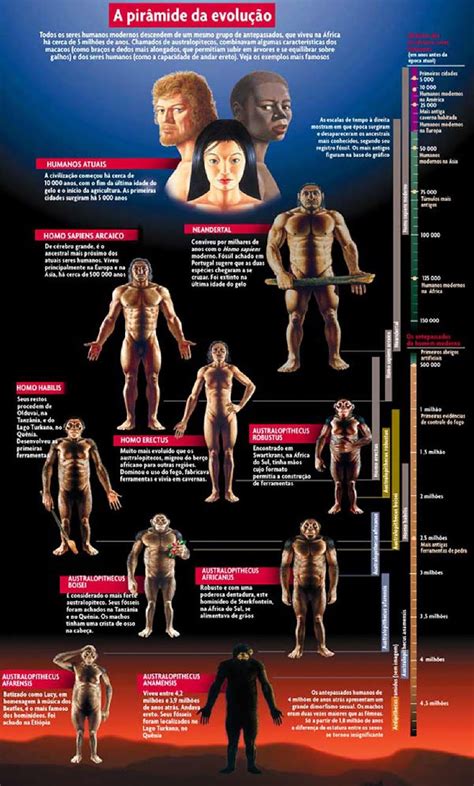 A evolução do homem moderno
