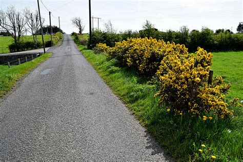 Whins Along Devesky Road Kenneth Allen Geograph Ireland