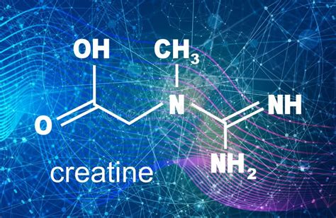 Creatine Chemical Formula Thin Line Style Illustration Stock