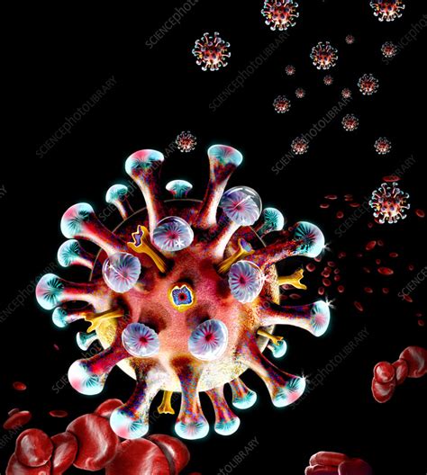 T Cell Illustration Stock Image C Science Photo Library