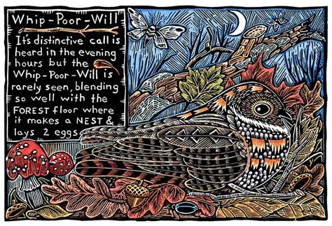 Whippoorwill Card