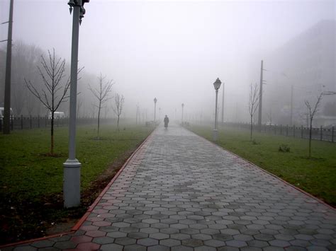 мир в котором я живу - 16 фото. Фотографии Людмила Селегенева.