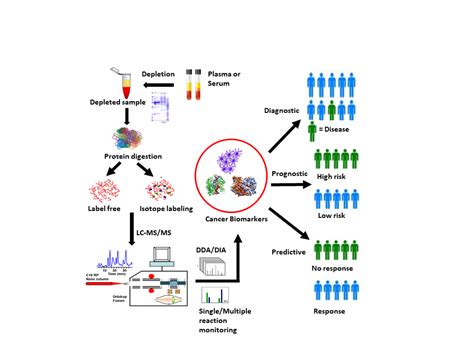 Cancers Free Full Text Challenges And Opportunities In Clinical