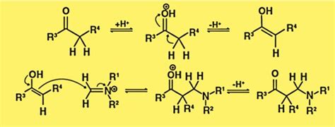 Mannich Reaction - Kemicalinfo