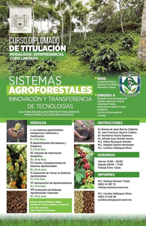 Oferta Unach Curso Diplomado De Titulación Sistemas Agroforestales