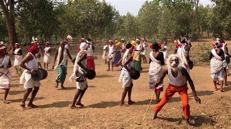 Ghotul Dance Or Mandri Dance By Muria Tribe Of Bastar Tribal Dance