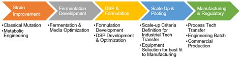 Fermentation Process Development Profacgen