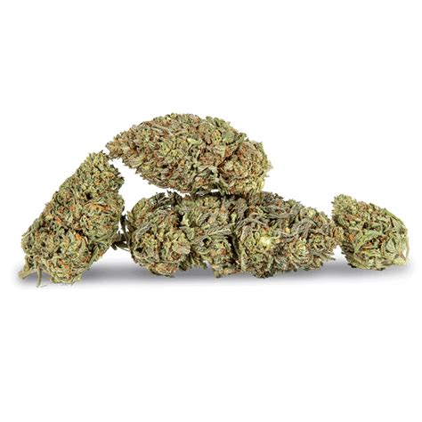 Buy Northern Lights Cheef Botanicals