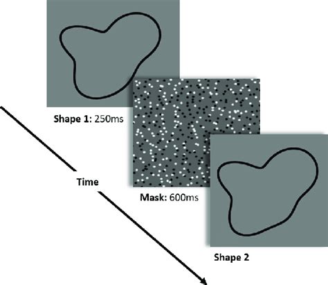 Sample Trial From Experiment 3 Participants Were Shown The First Download Scientific Diagram