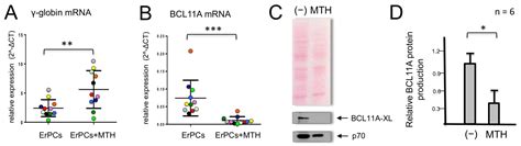 Effects Of Mithramycin On BCL11A Gene Expression And On The Interaction