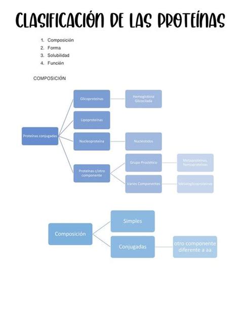 Aliviar Tubo Restricci N Clasificacion De Las Proteinas Por Su