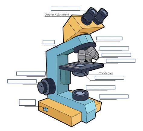 Microscope Parts Functions And Care Diagram Quizlet