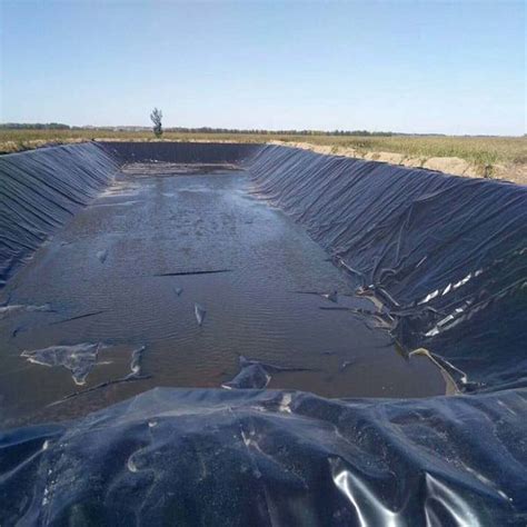 Promotional Pond Liner Waterproof Sheet Fish Farm Rough Mm Single