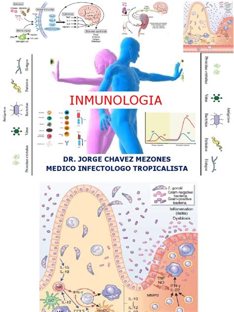 Sistema Inmune 2014