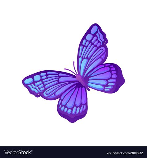 Beautiful purple butterfly with blue pattern Vector Image