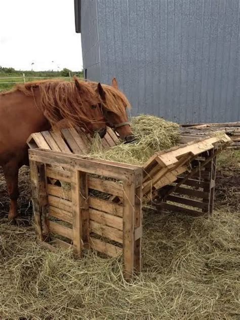 Incredible And Accessible Homemade Hay Feeder From Pallets Diy Projects For Everyone