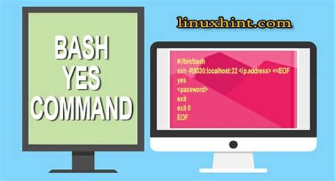 Bash Yes Command Onet IDC Onet IDC