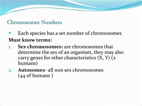 Cell Growth And Division Ppt Download