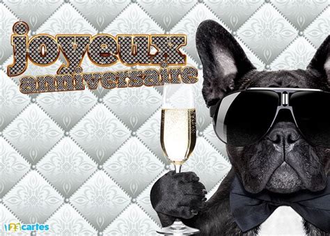 Carte Bon Anniversaire Bling Bling Avec La Photo D Un Chien Tenant Une