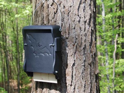 Bat Boxes - For Bat Conservation