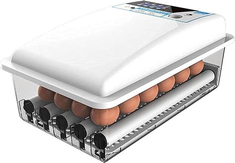 Fully Automatic Egg Incubator For Hatching Eggs One Key Operation