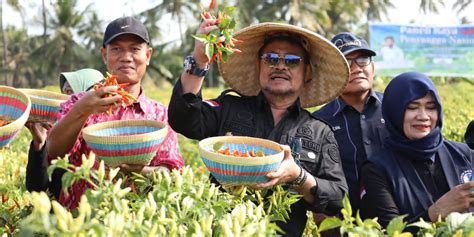 Kendalikan Inflasi Mentan Syl Dukung Penuh Pengembangan Cabai Di