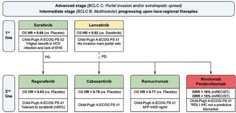 Treatment Strategy For Advanced Hepatocellular Carcinoma Reproduced