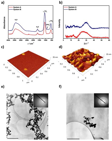 Amorphous Calcium Phosphate Formation And Aggregation Process Revealed