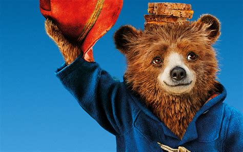 Paddington Bear Hd Wallpaper