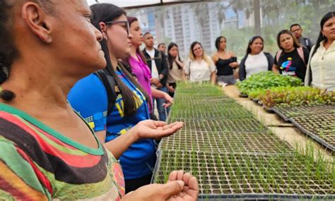 Caracas Organopónico Bolívar 1 vitrina de la Agricultura Urbana