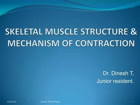 Skeletal muscle structure & function | PPT