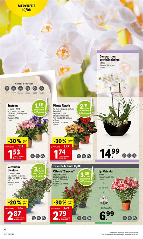 Lidl Catalogue Plantes Et Fleurs Arrivage De La Semaine Du Ao T