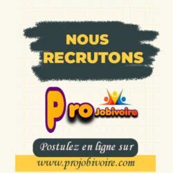 Responsable Administratif Et Financier Projobivoire