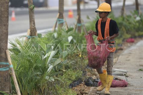 Penghijauan Jalur Pedestrian Di IKN ANTARA Foto