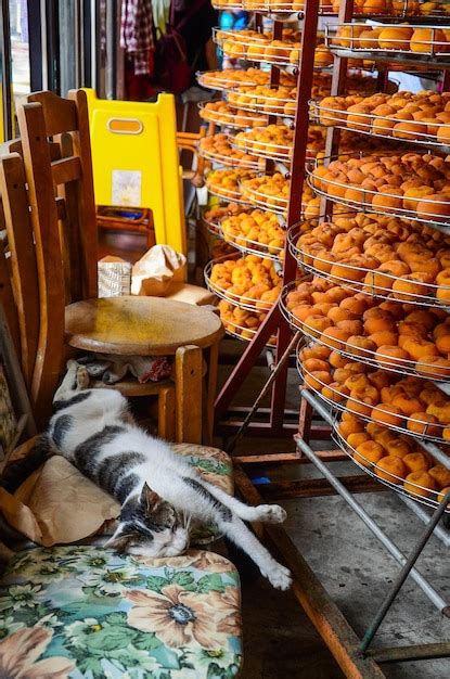 O Gato Dorme Em Uma Cadeira Muitos Caquis Secos Ao Lado Foto Premium