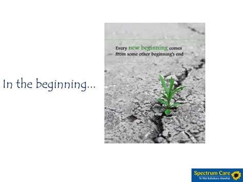 PPT - Merlin and the Sunflower PowerPoint Presentation, free download ... 