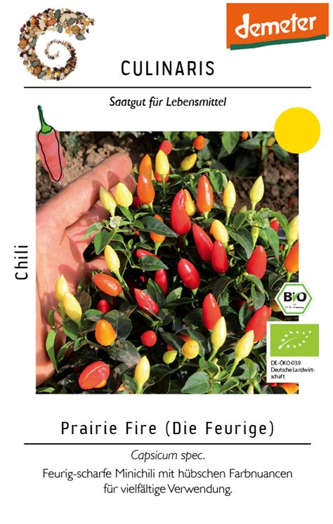 Chili Prairie Fire BIO Chilisamen Von Culinaris MHD 01 2025