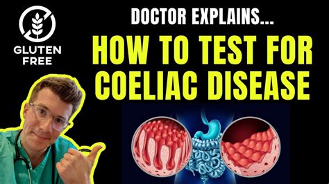 How To Test For Celiac Disease Coeliac Disease IgA TtG And Biopsy