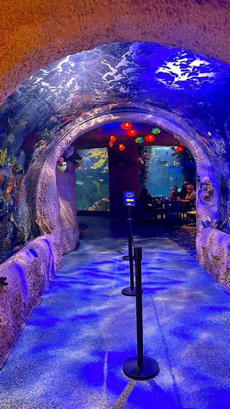 Aquarium Restaurant in Nashville, Tennessee - Indy's Child Magazine