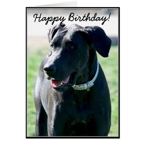 Happy Birthday Black Great Dane Greeting Card Zazzle