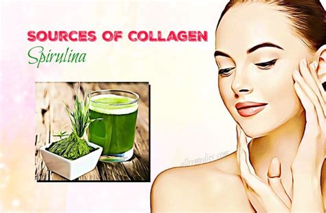 9 Natural Sources Of Collagen In Food & Diet You Might Not Know