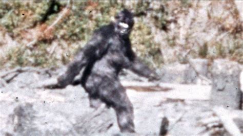 Georgia Man Reports Seeing Bigfoot Alongside A Rural Road Raleigh