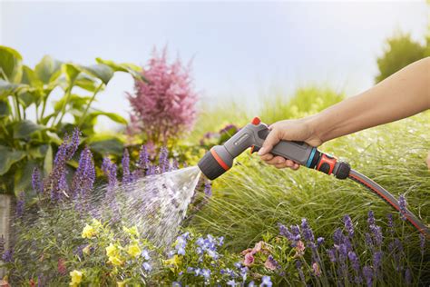 Cómo recoger el agua de lluvia para regar el jardín