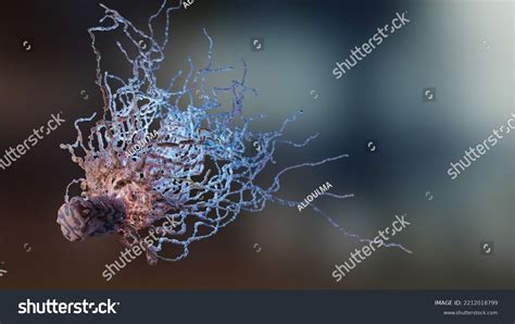 Peritrichous Bacteria Flagellum Bacteria Long Tails Stock Illustration 2212018799 | Shutterstock