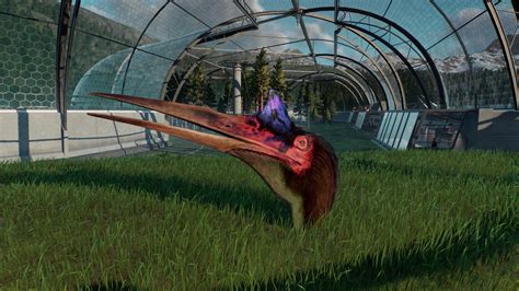 Bird Stuck In Ground Jurassicworldevo