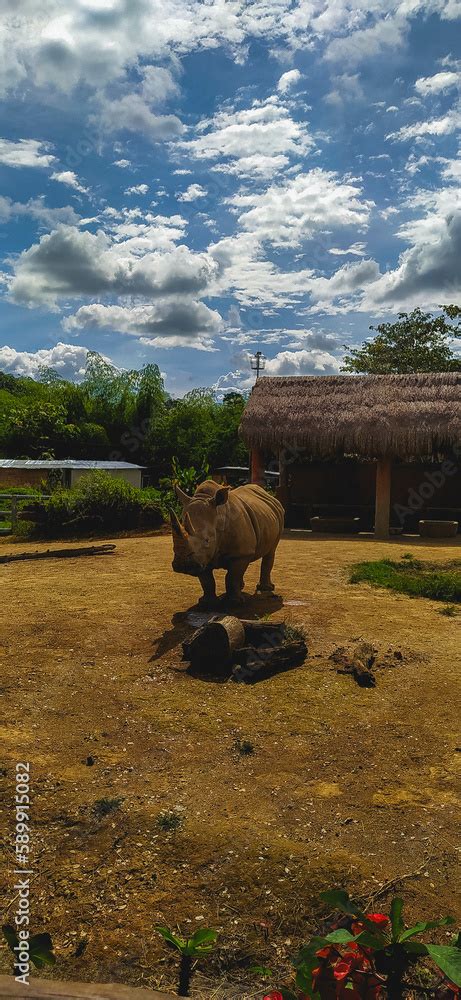 Foto De Esto Es Colombia Un Pais Lleno De Amor Cultura Biodiversidad