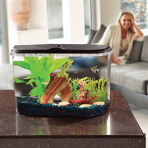 Amazon Koller Products Panaview Gallon Aquarium Kit Power