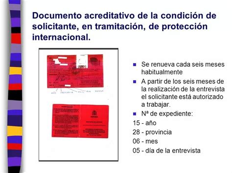 Tarjeta Roja de Asilo en España Cómo obtenerla