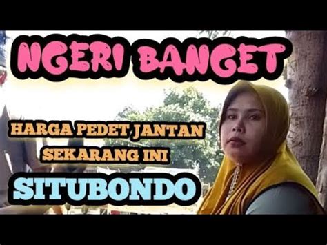 NGERI BANGETHarga Pedet Jantan Sekarang Ini Di Pasar Sapi Situbondo